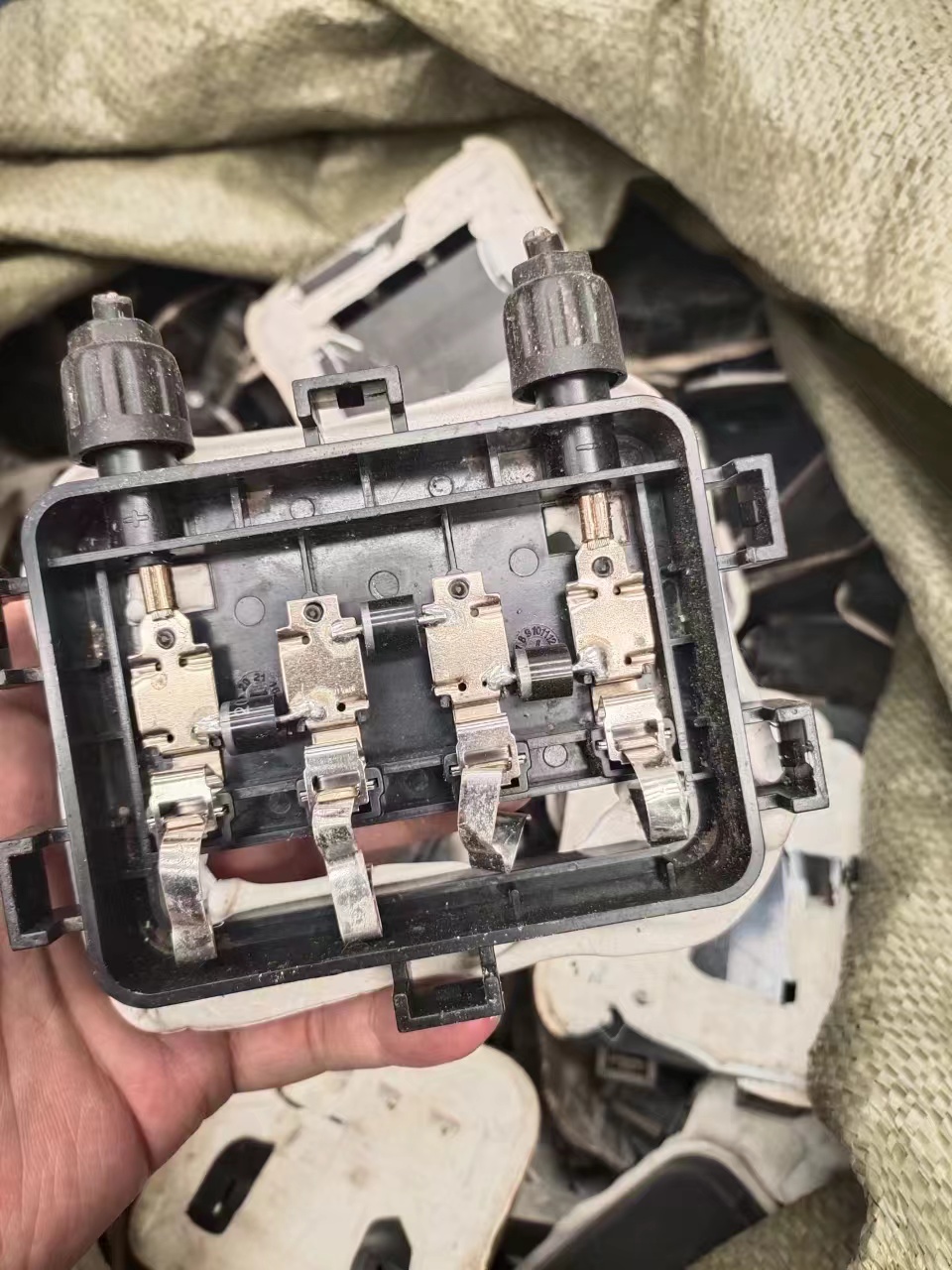 海博论坛(中国游)官方网站