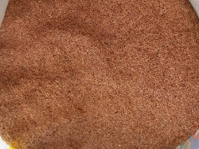 海博论坛(中国游)官方网站