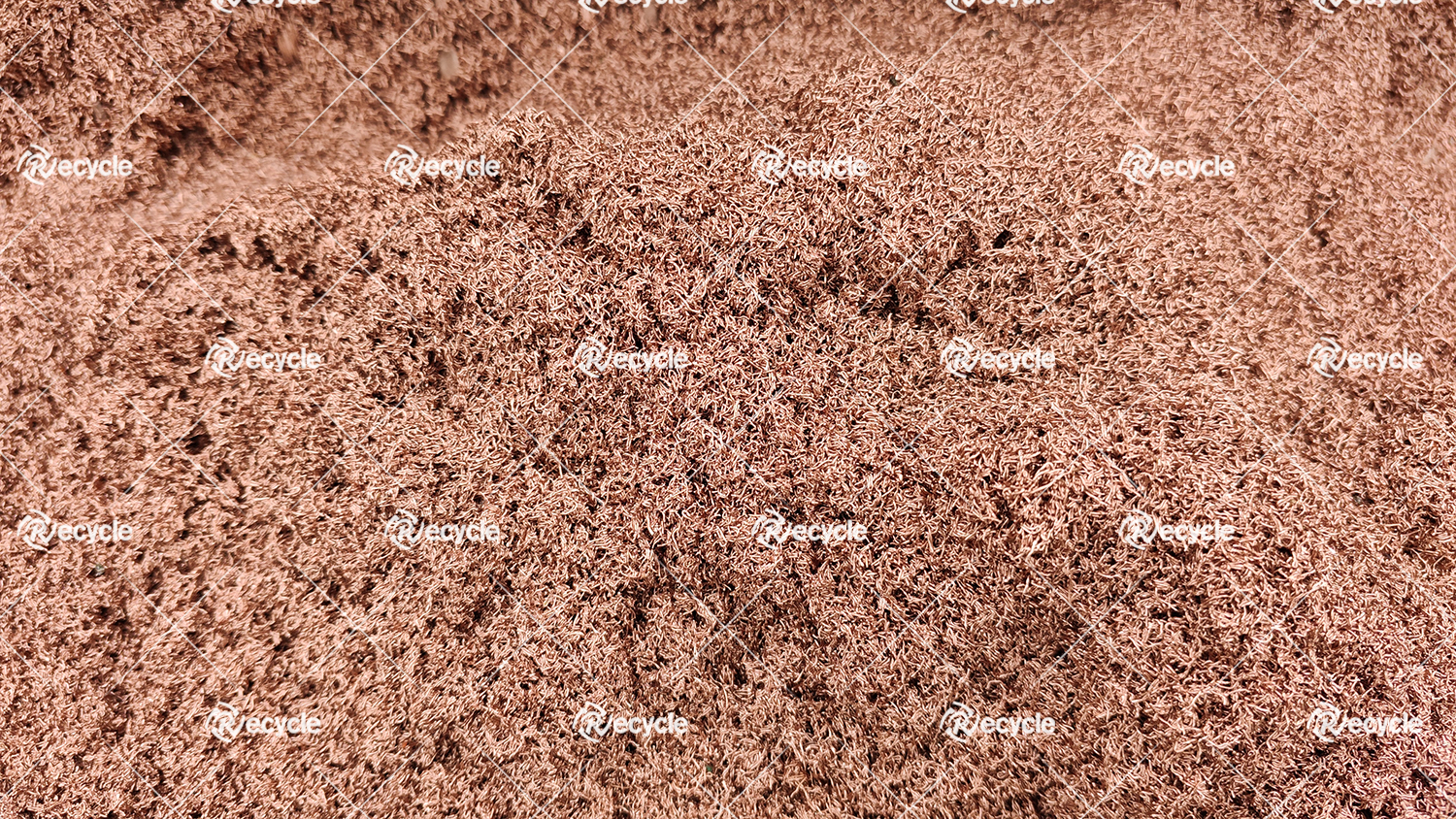 海博论坛(中国游)官方网站