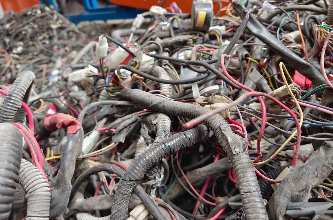 海博论坛(中国游)官方网站