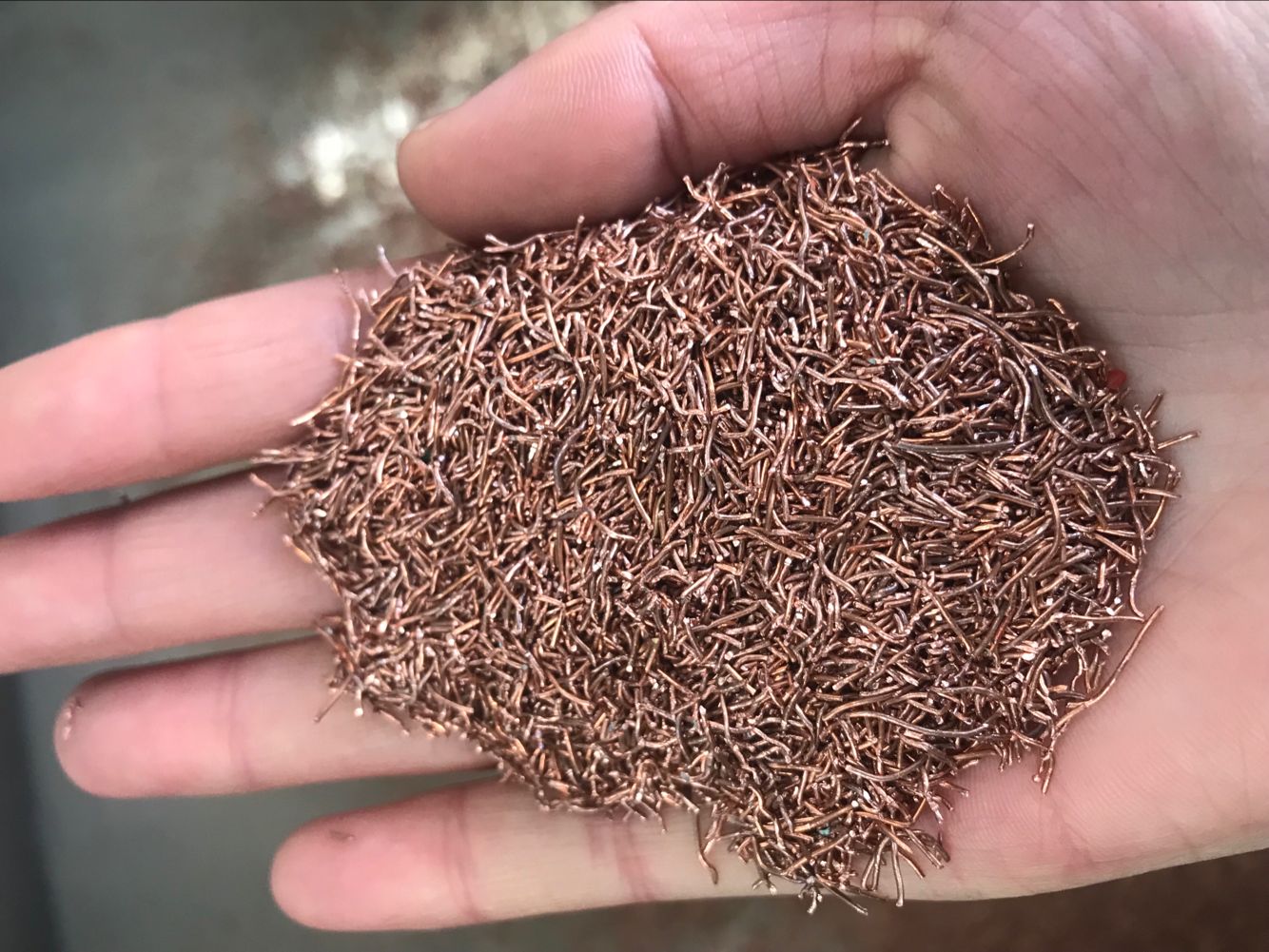 海博论坛(中国游)官方网站